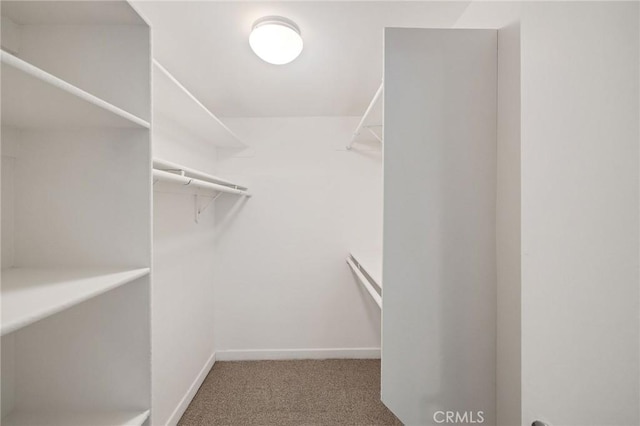 1429 Manhattan Ave, Hermosa Beach, CA 90254 - spacious closet featuring carpet