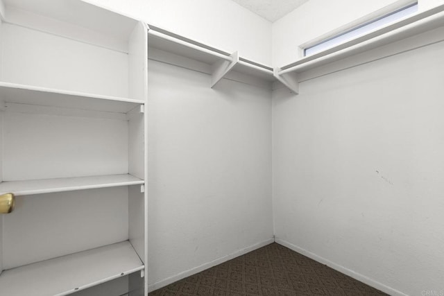 walk in closet with dark carpet