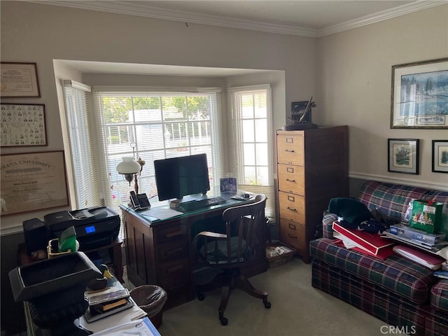 office featuring ornamental molding, a wealth of natural light, and carpet
