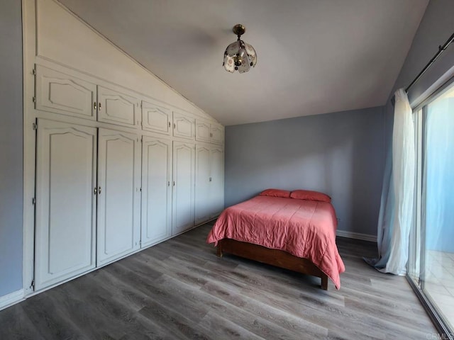 112 Barco, Ensenada Bc Mexico, CA 22870 - bedroom with lofted ceiling, baseboards, a closet, and wood finished floors