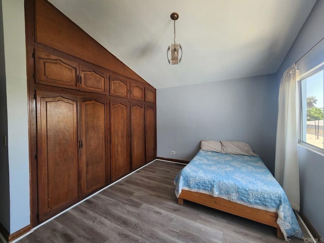 112 Barco, Ensenada Bc Mexico, CA 22870 - bedroom featuring lofted ceiling, baseboards, dark wood-type flooring, and a closet
