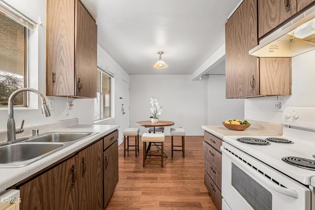 229 S Ventura Rd Unit 105, Port Hueneme, CA 93041 - kitchen with white range with electric cooktop, under cabinet range hood, light countertops, and light wood-style flooring