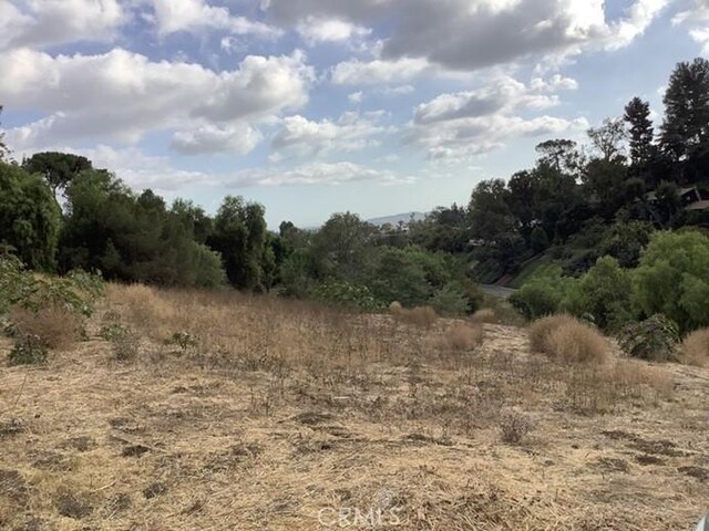 805 W Road Ln, Habra Heights, CA 90631 - photo 4