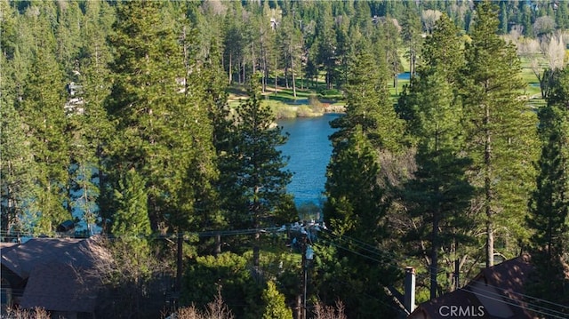 26715 Modoc Ln, Lake Arrowhead, CA 92352 - photo 4