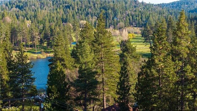 birds eye view of property featuring a wooded view and a water and mountain view