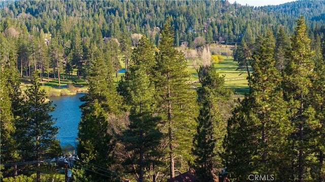 26715 Modoc Ln, Lake Arrowhead, CA 92352 - photo 45