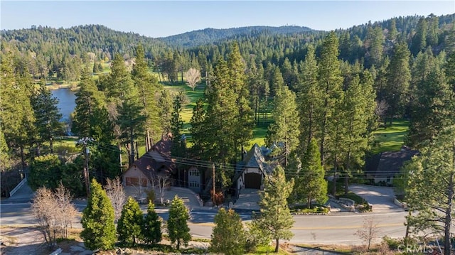 26715 Modoc Ln, Lake Arrowhead, CA 92352 - photo 46