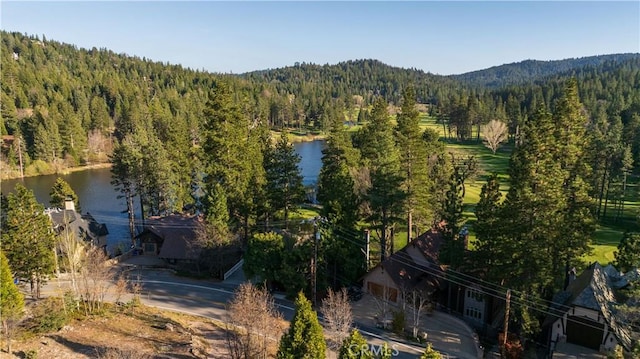 bird's eye view featuring a water view and a wooded view