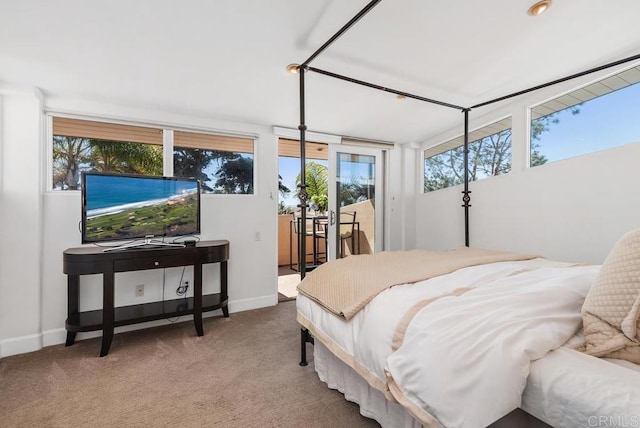 1407 Ocean, Del Mar, CA 92014 - bedroom with carpet, access to outside, and baseboards
