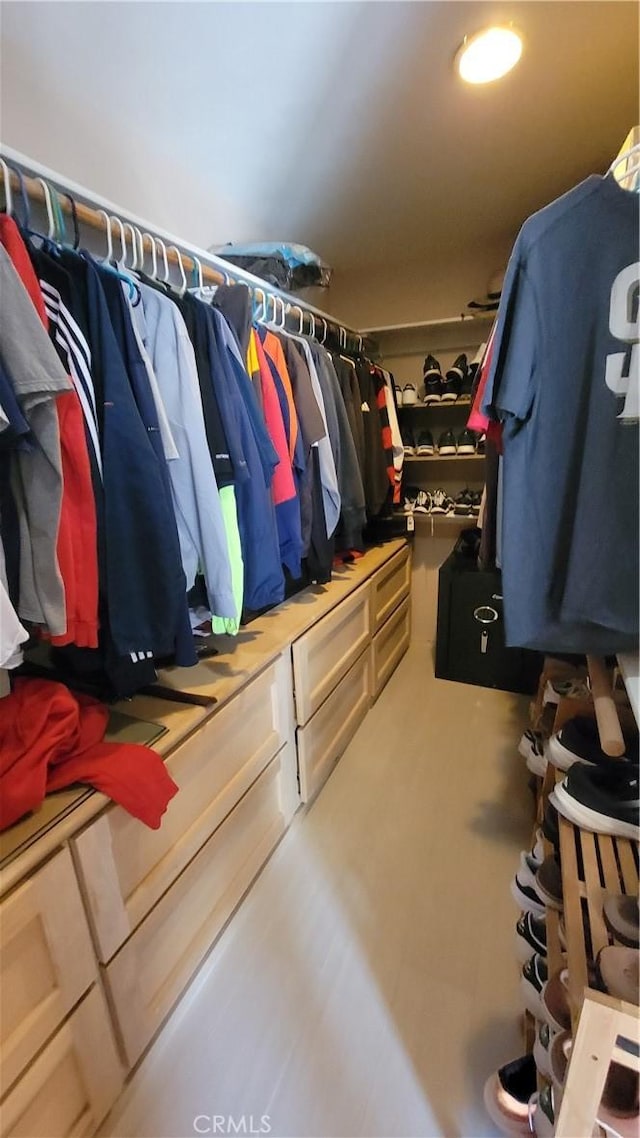 view of spacious closet