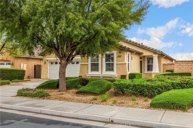 view of front of property with fence, a garage, stucco siding, and driveway
