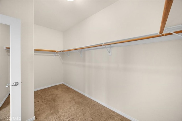 spacious closet with carpet floors