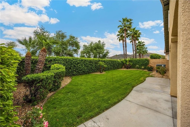 view of yard featuring a fenced backyard and a patio