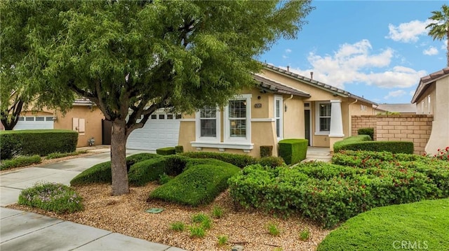 view of front of property with an attached garage, stucco siding, driveway, and fence