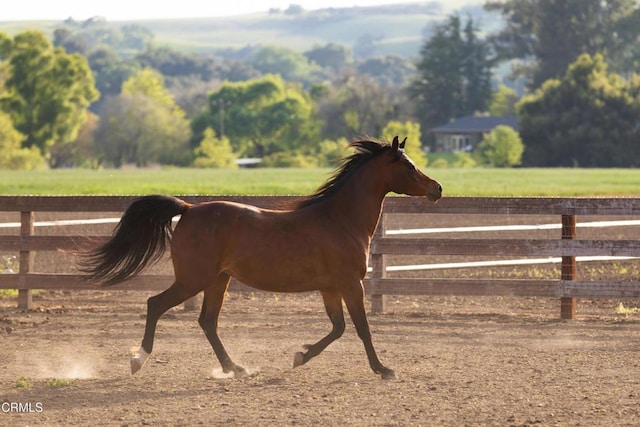 3325 Figueroa Mountain Rd, Los Olivos, CA 93441 - horse barn with a rural view and a mountain view