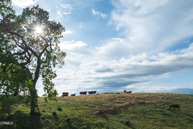3325 Figueroa Mountain Rd, Los Olivos, CA 93441 - view of local wilderness featuring rural landscape and agricultural land