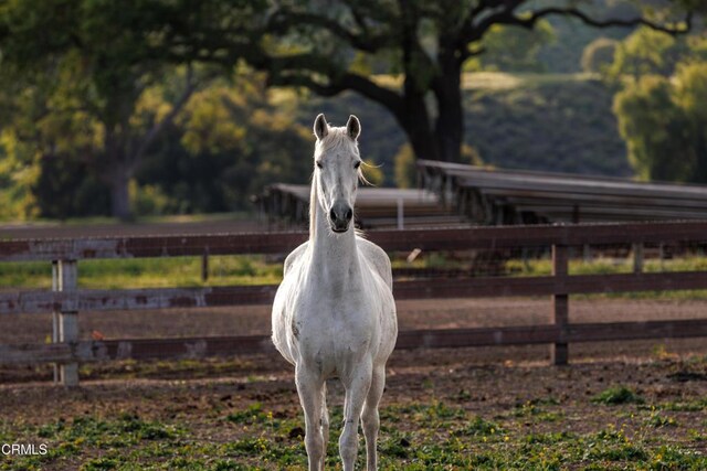 3325 Figueroa Mountain Rd, Los Olivos, CA 93441 - exterior view
