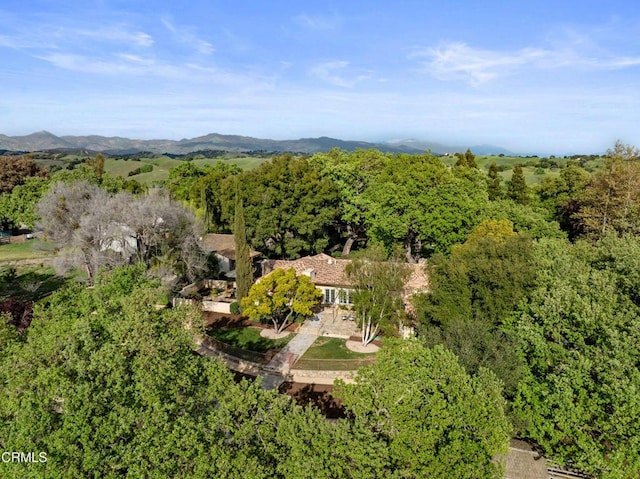 3325 Figueroa Mountain Rd, Los Olivos, CA 93441 - view of subject property featuring a heavily wooded area and a mountain backdrop