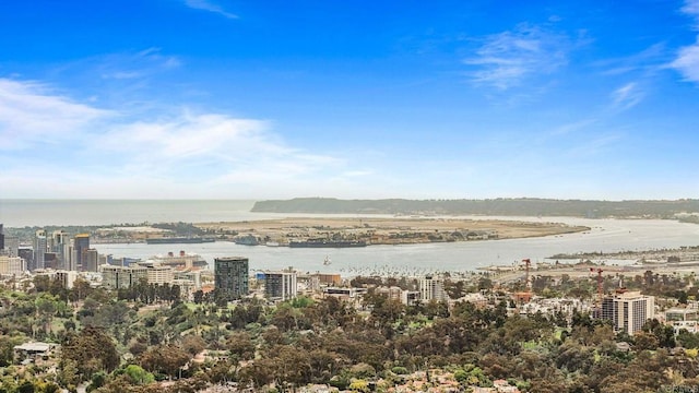 drone / aerial view featuring a city view and a water view