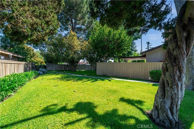 view of yard with a fenced backyard