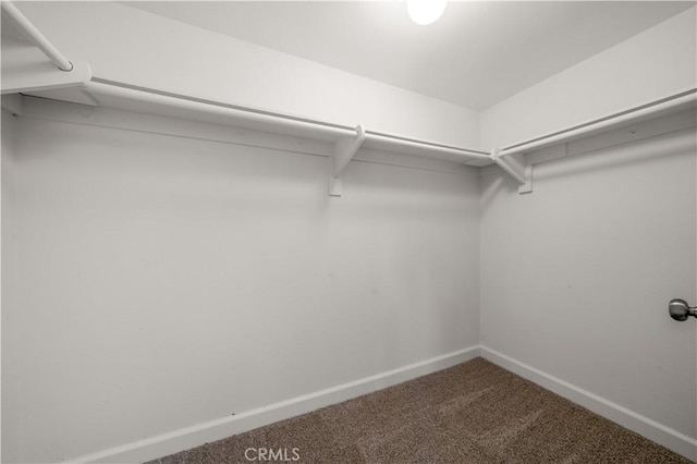 spacious closet with carpet flooring