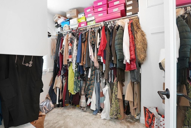 2152 Reed Dr, San Diego, CA 92154 - view of walk in closet
