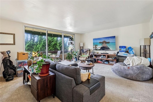 living room featuring carpet