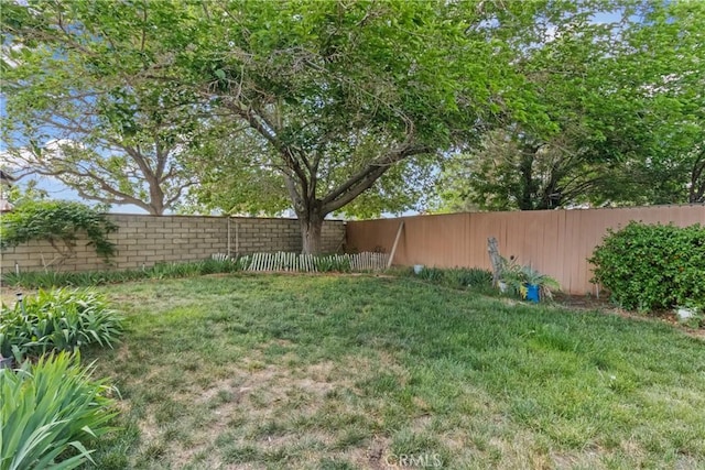 view of yard with a fenced backyard