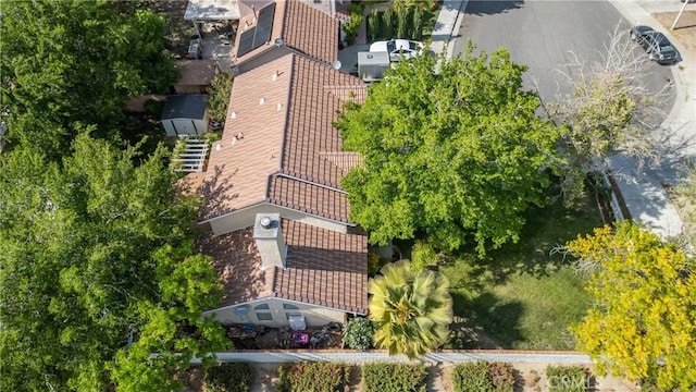 bird's eye view