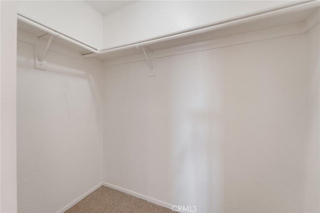 spacious closet featuring light carpet
