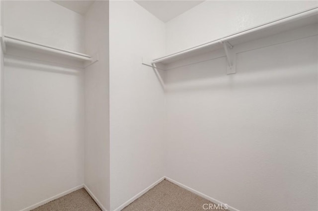 spacious closet with carpet flooring