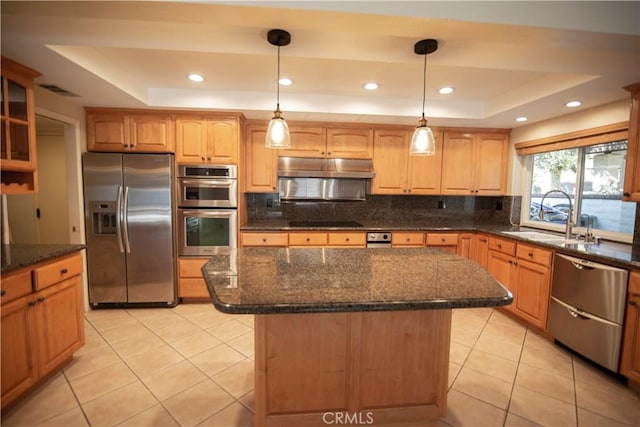 3926 Corte Cancion, Thousand Oaks, CA 91360 - kitchen featuring a sink, stainless steel appliances, under cabinet range hood, and a raised ceiling