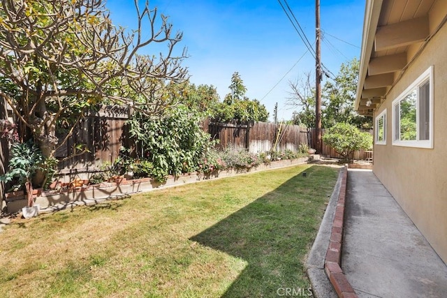 1229 Kilson Dr, Santa Ana, CA 92707 - view of yard