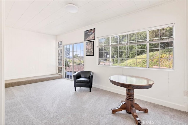 sitting room with carpet floors, baseboards, and ornamental molding
