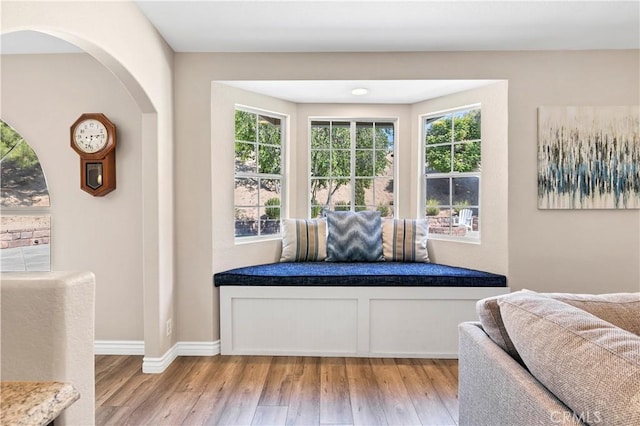 mudroom featuring light wood-style flooring, plenty of natural light, and baseboards