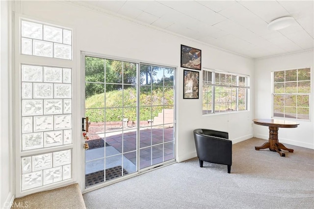 doorway with carpet, crown molding, and baseboards