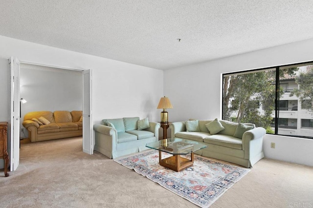 carpeted living area with a textured ceiling