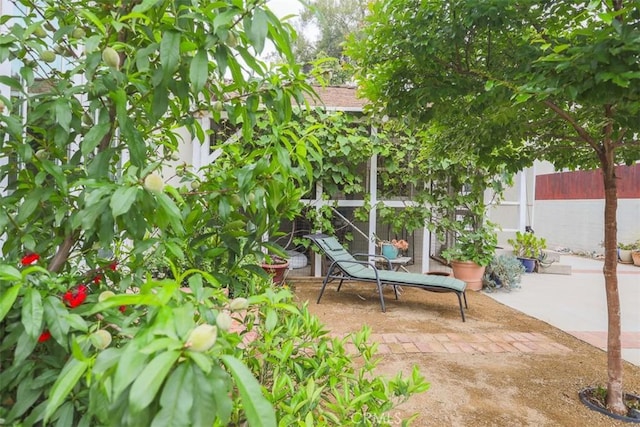 516 S Sparks St S, Burbank, CA 91506 - view of patio with fence