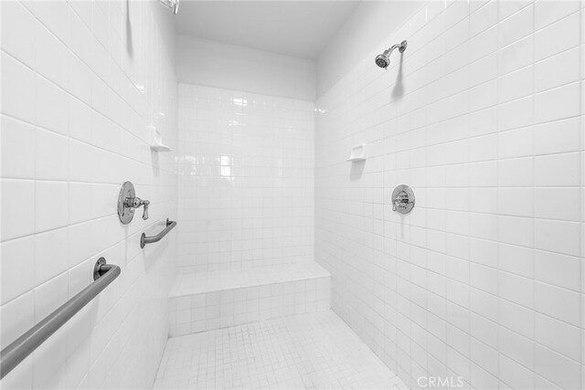 bathroom with pet washing area and a tile shower
