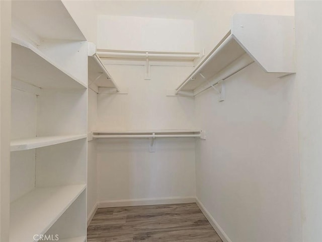 walk in closet with wood finished floors