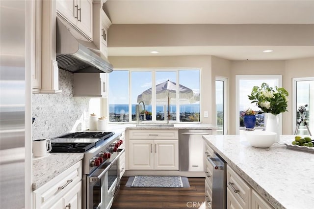 kitchen featuring a sink, high quality appliances, dark wood-style floors, under cabinet range hood, and recessed lighting