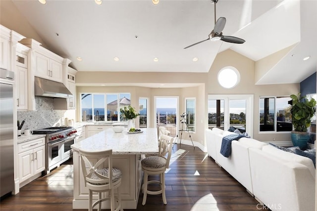 kitchen featuring a kitchen breakfast bar, under cabinet range hood, open floor plan, light stone countertops, and high end appliances