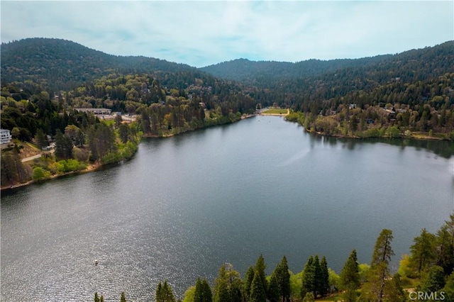 356 Wylerhorn Dr, Crestline, CA 92325 - view of water feature featuring a mountain view and a view of trees