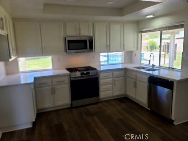 7215 Goldboro Ln, Riverside, CA 92506 - kitchen with stainless steel appliances, a sink, a tray ceiling, and dark wood-style flooring