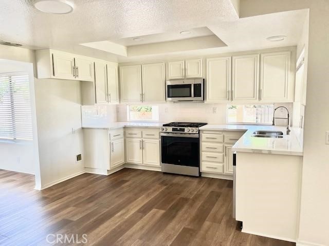 7215 Goldboro Ln, Riverside, CA 92506 - kitchen with stainless steel appliances, a raised ceiling, dark wood-style floors, light countertops, and a textured ceiling