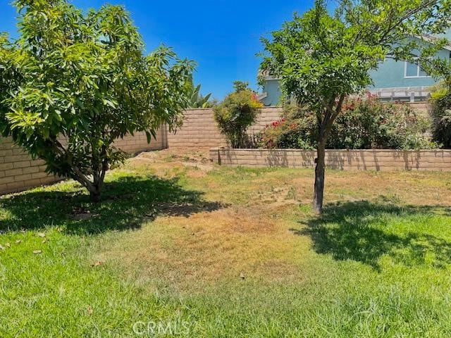 7215 Goldboro Ln, Riverside, CA 92506 - view of yard