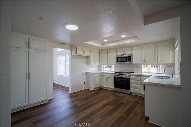 7215 Goldboro Ln, Riverside, CA 92506 - kitchen featuring stainless steel appliances, dark wood-style floors, a textured ceiling, a raised ceiling, and light countertops
