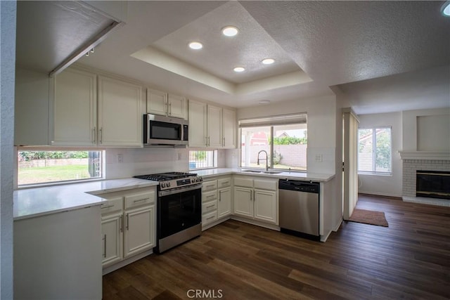 7215 Goldboro Ln, Riverside, CA 92506 - kitchen with stainless steel appliances, a tray ceiling, dark wood-type flooring, light countertops, and a textured ceiling