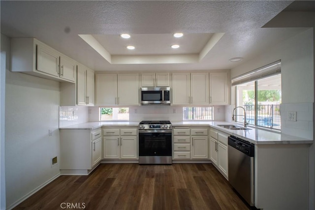 7215 Goldboro Ln, Riverside, CA 92506 - kitchen with stainless steel appliances, a tray ceiling, dark wood-style flooring, backsplash, and a textured ceiling