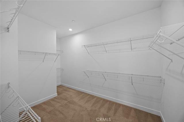 spacious closet with light colored carpet